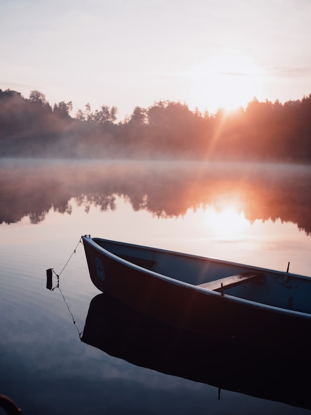 EFT Paartherapie Berlin dominik-hofbauer-unsplash