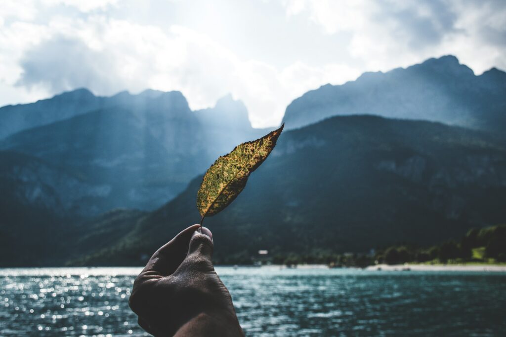 Emotionsfokussierte Paartherapie Online, EFT Online Paartherapie, Online Paartherapie - leonardo yip - unsplash